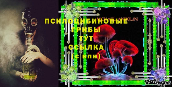 PSILOCYBIN Арсеньев