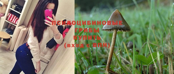 PSILOCYBIN Арсеньев