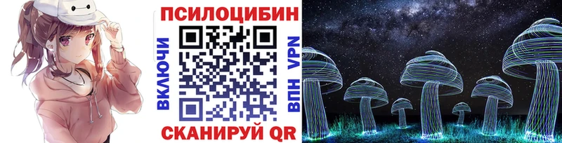 Псилоцибиновые грибы ЛСД  купить наркоту  hydra зеркало  Нововоронеж 